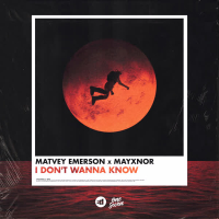 I Don't Wanna Know (Single)