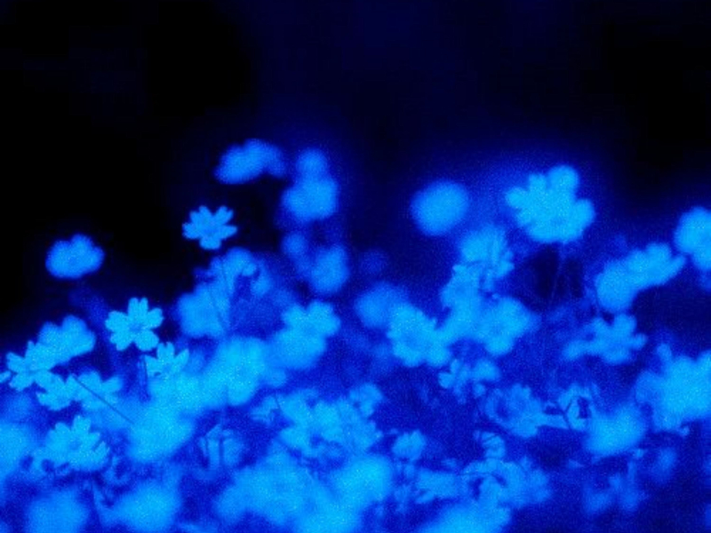 빛, 소리 (Single)