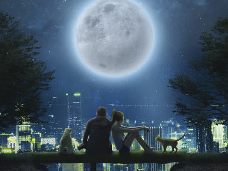 Close to You (Single)