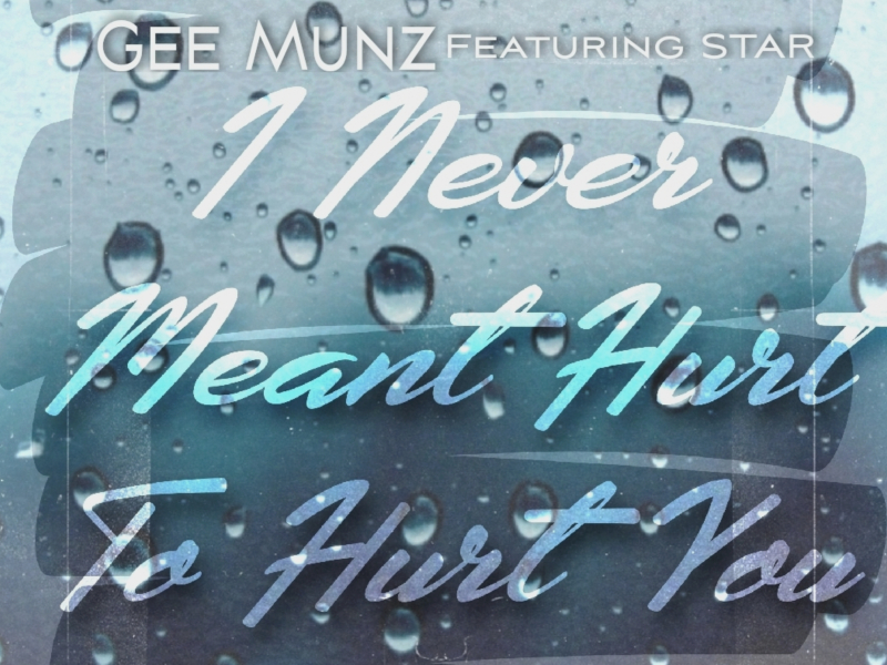 I Never Meant Hurt To Hurt You (feat. Star)