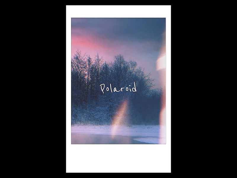 Polaroid