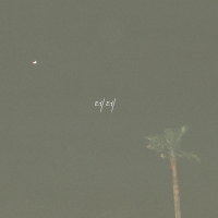 Walk in The Clouds (Single)