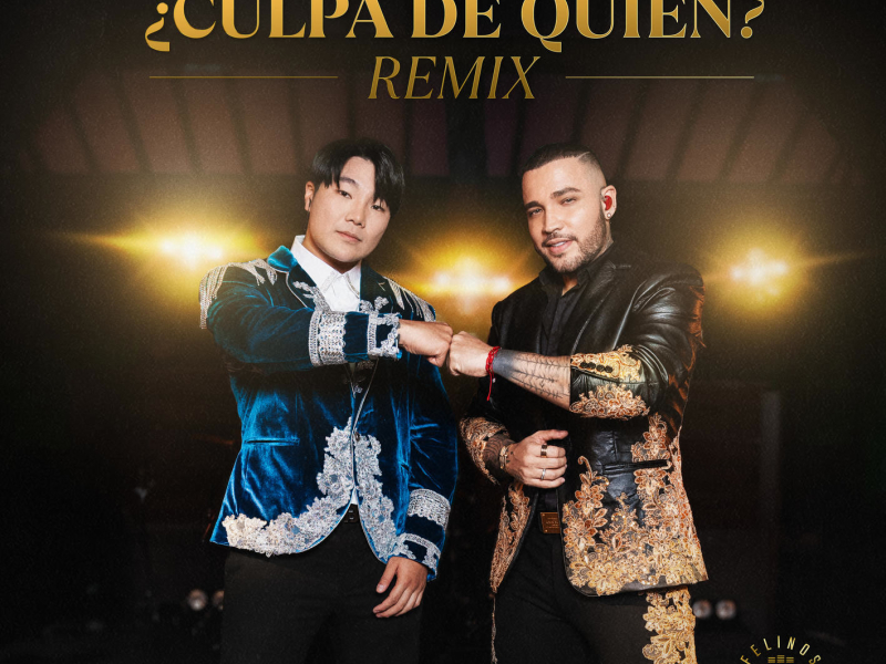 ¿Culpa de Quíen? (Remix) (Single)