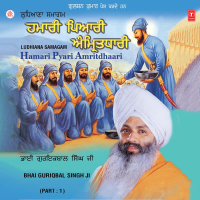 Hamari Pyari Amritdhaari Vol-1 (Single)