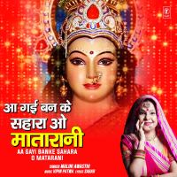 Aa Gayi Banke Sahara O Matarani (Single)