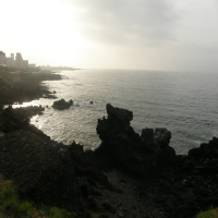 Love Shine (Isnt.) (Single)