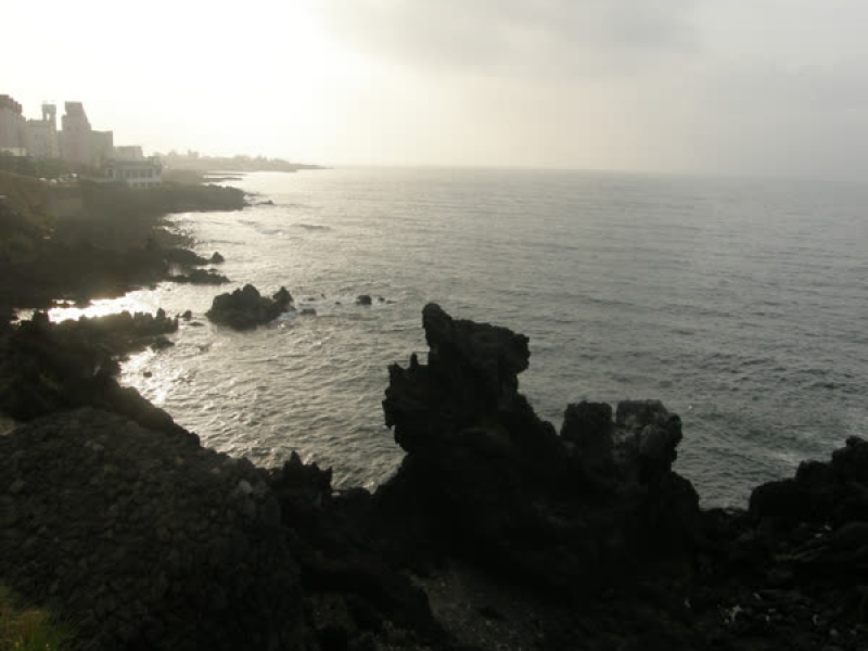 Love Shine (Isnt.) (Single)