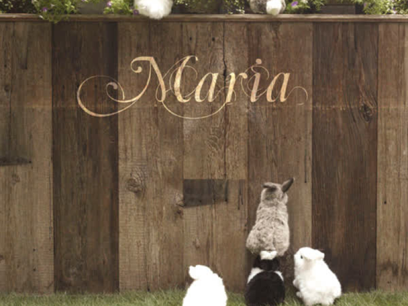 Sayonaradaisukinahito