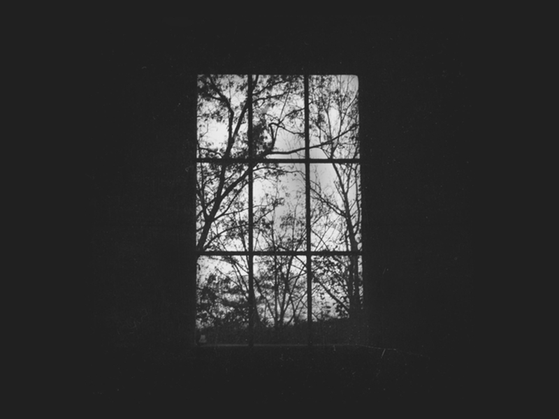 people (be losing) (Single)