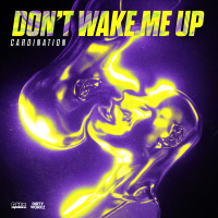 Don't Wake Me Up (Single)