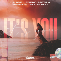 It's You (Marcus Layton Edit) (Single)
