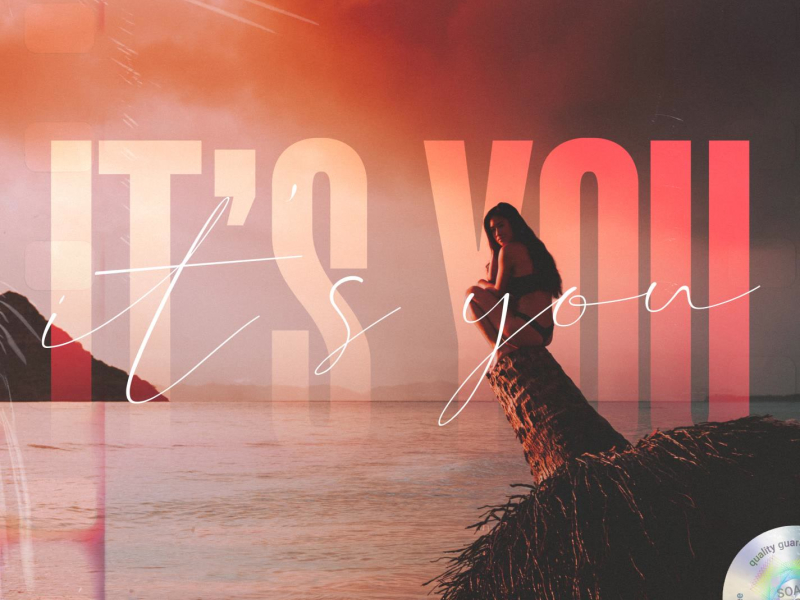 It's You (Marcus Layton Edit) (Single)