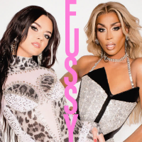 Fussy (Single)
