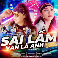 Sai Lầm Vẫn Là Anh (Remix) (Single)