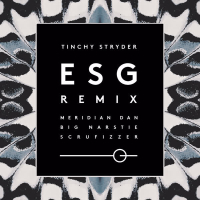 ESG (Remix) (Single)