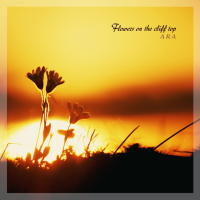Flowers On The Cliff Top (Single)