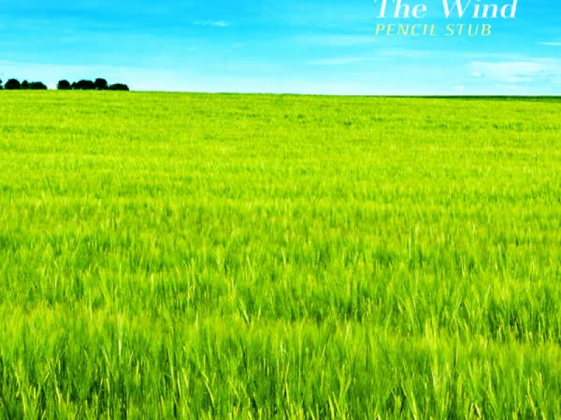 Hope In The Wind (Single)