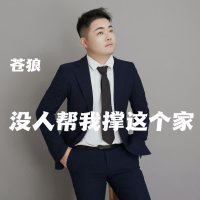 没人帮我撑这个家 (Single)