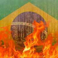 Brasil Em Chamas (Single)