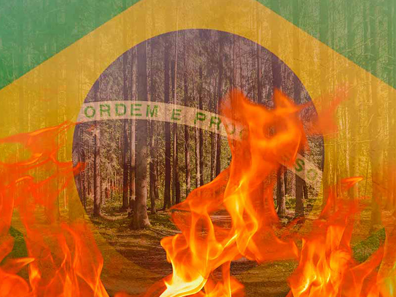 Brasil Em Chamas (Single)