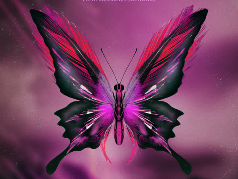 Gonna Be Alright (Remixes) (EP)