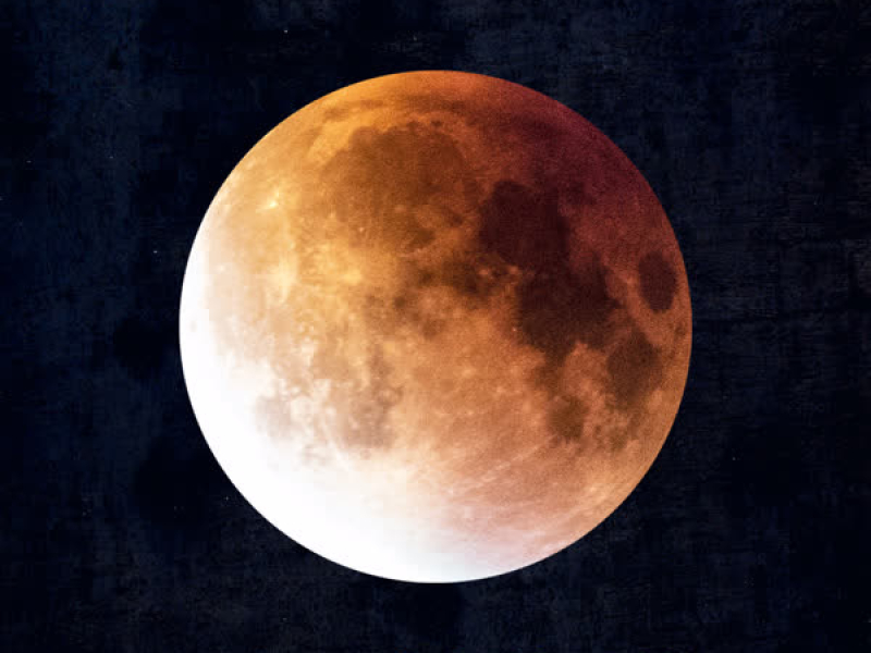 Please Don't Stop the Boogie (Single)