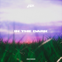 IN THE DARK (Single)