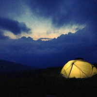 Light in the Dark (Single)