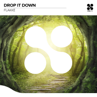 Drop It Down (Single)