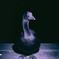 Tämä on elämää (Single)