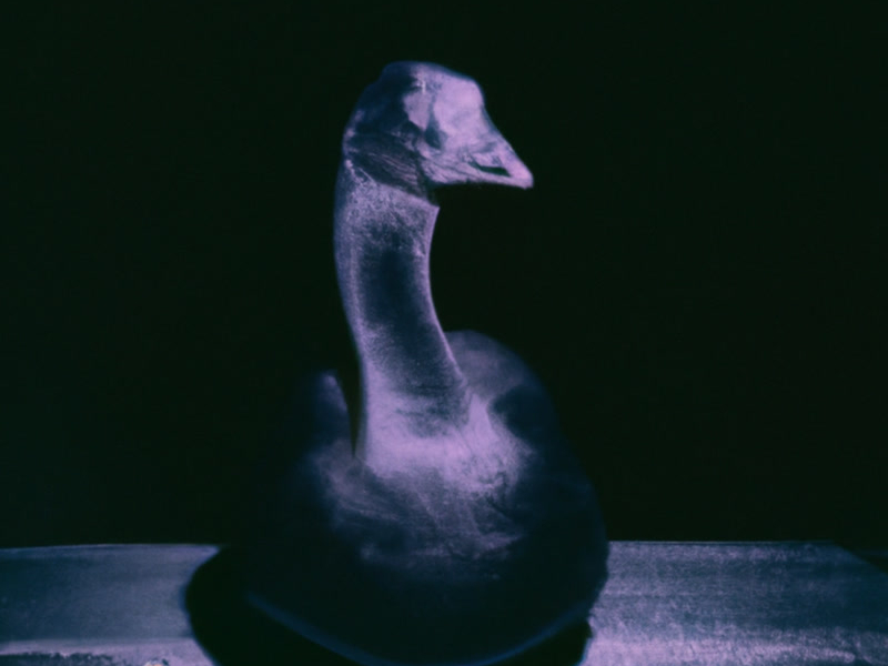 Tämä on elämää (Single)