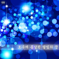 호수에 흩날린 달빛의 꿈