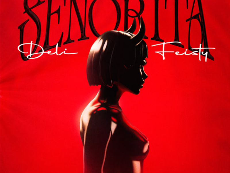 Senorita (Single)