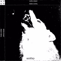 Born a Beast (Single)