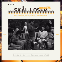 Skål Loser (Remix) (Single)