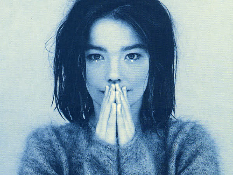 Venus As A Boy (Single)