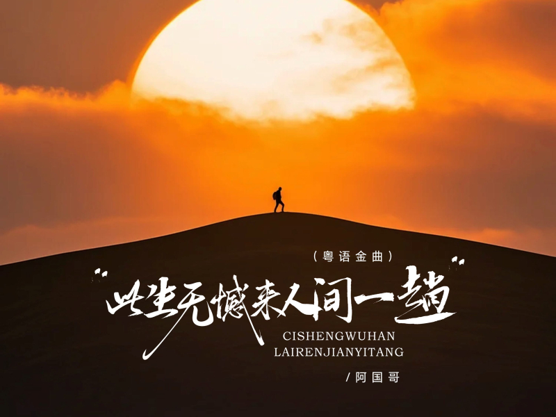 此生无憾来人间一趟 (DJ京仔粤语金曲) (Single)