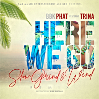 Here We Go (Slow Grind & Wind Remix) (Single)