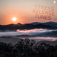 Stress Release Tunes (Single)