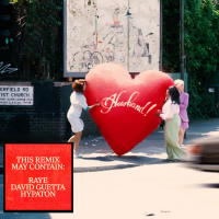 WHERE IS MY HUSBAND! (Remix) (EP)