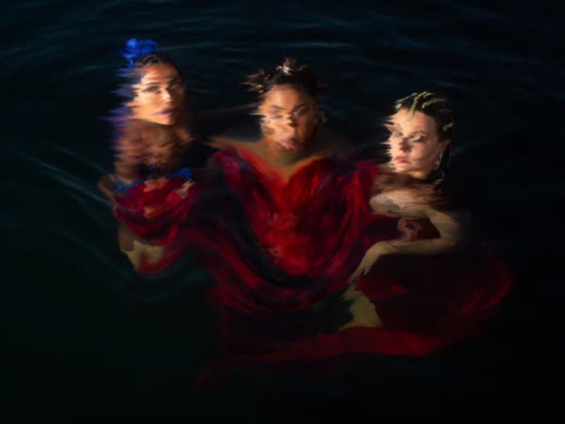 Damaged Goods (Single)