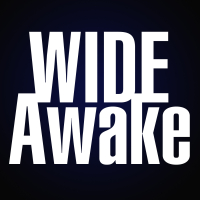 Wide Awake - Single