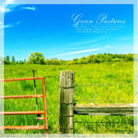 Green ranch (Single)