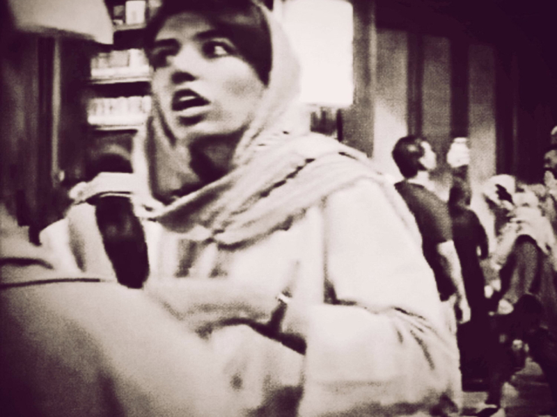 searching for beauty amidst the world's collapse