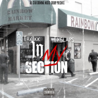 In My Section (feat. Tyslaps) (Single)