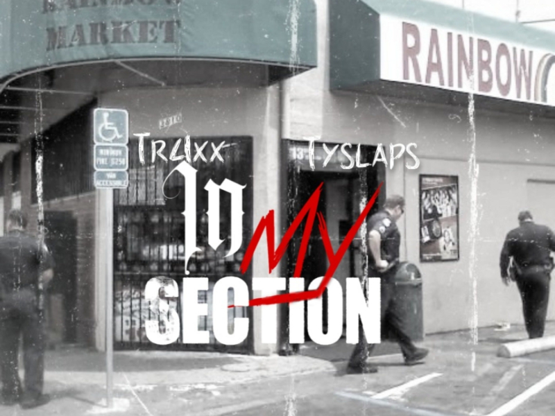 In My Section (feat. Tyslaps) (Single)