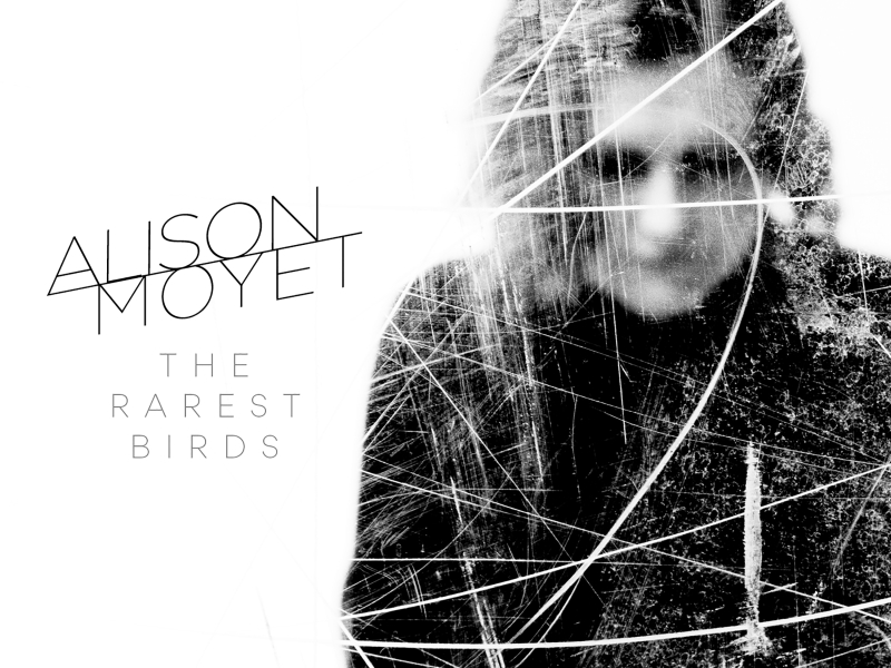 The Rarest Birds (Single)