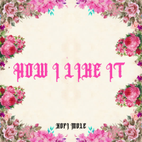 How I Like It (Single)