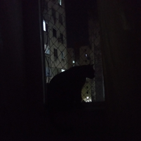 a mesma coisa, várias vezes, ad nauseam (Single)