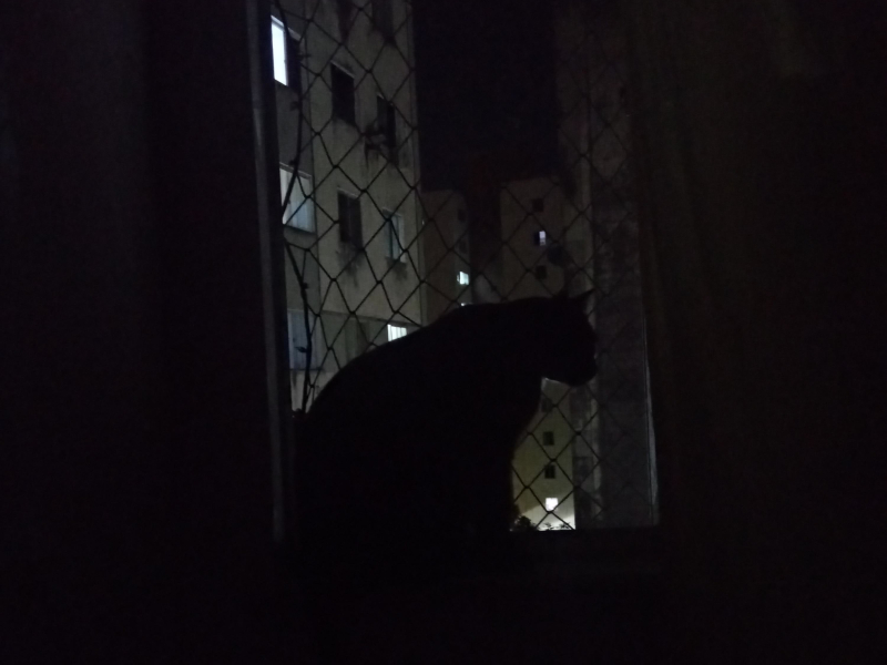 a mesma coisa, várias vezes, ad nauseam (Single)